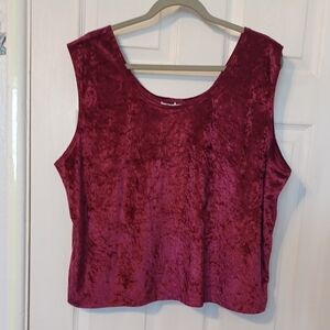 First Lady Velour Crop Top